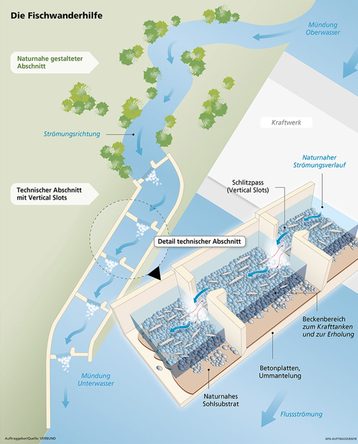 Das Bild zeigt eine Grafik, welche erläutert, wie verschiedene Fischwanderhilfen funktionieren. Dabei sieht man oben, wie das Wasser vorm Kraftwerk in einen naturnahen Abschnitt mündet. Im Bereich des Kraftwerks, wo vor und nach dem Kraftwerk der Höhenunterschied besteht, sind für Fische vertikale Abschnitte eingerichtet, wo Becken zur Erholung eingerichtet wurden, um die Ab- und Aufstieg möglichst schonend für Fische zu gestalten. Im unteren Bereich wird gezeigt, wie die Fischwanderhilfe wieder in den Fluss mündet.