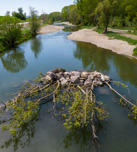 The picture shows a renaturalised site at the fish migration aid in Altenwörth. At this point in the blue-green river there is a collection of stones with plants, just like those found in nature. To the left and right of the banks you can see gravel and green areas with shrubs and trees. The blue sky shines in the upper part of the picture.